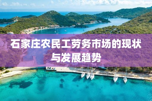 石家庄农民工劳务市场的现状与发展趋势