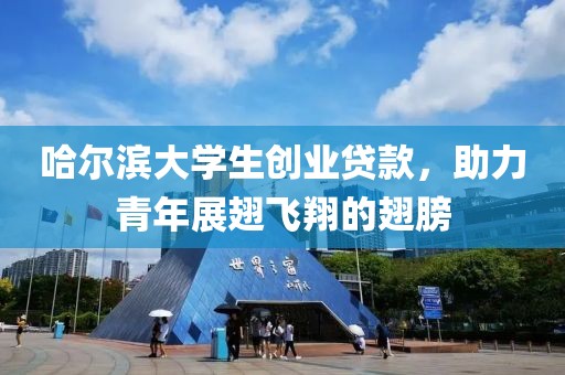 哈尔滨大学生创业贷款，助力青年展翅飞翔的翅膀