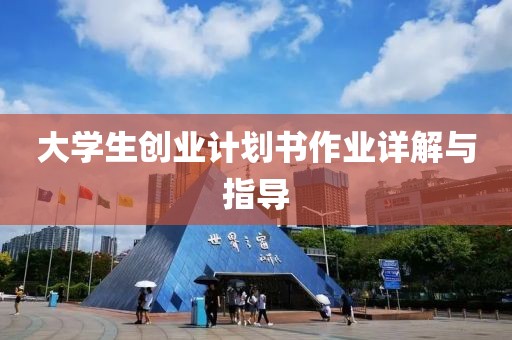 大学生创业计划书作业详解与指导