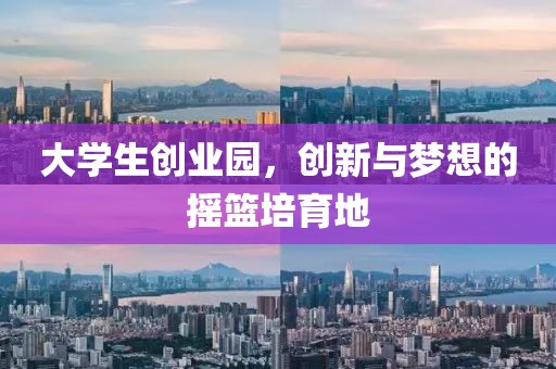 大学生创业园，创新与梦想的摇篮培育地