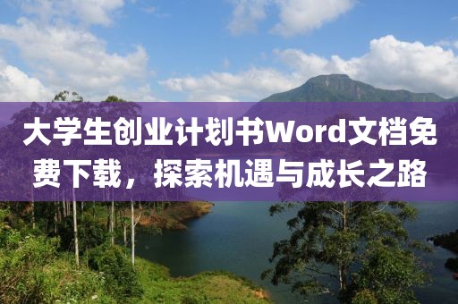 大学生创业计划书Word文档免费下载，探索机遇与成长之路