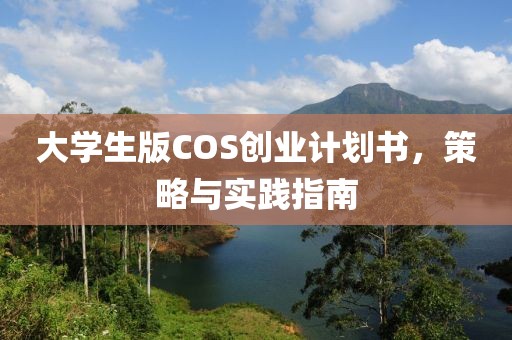 大学生版COS创业计划书，策略与实践指南