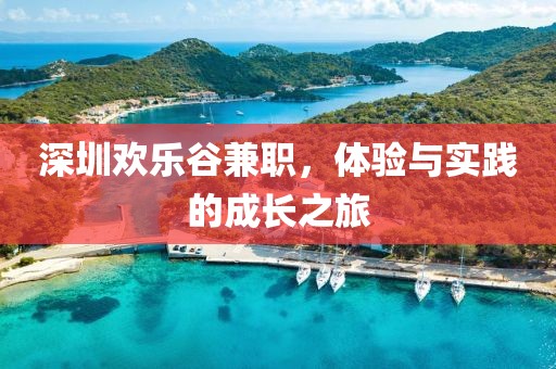 深圳欢乐谷兼职，体验与实践的成长之旅