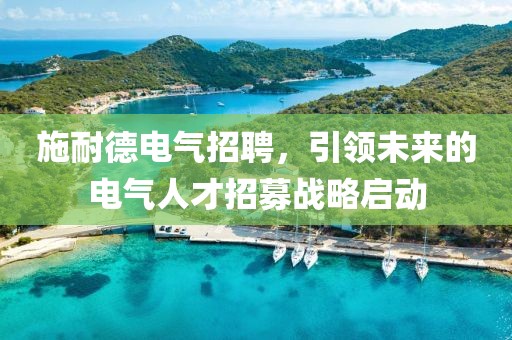 施耐德电气招聘，引领未来的电气人才招募战略启动