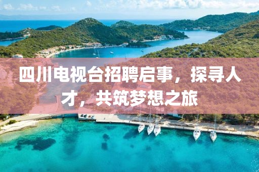 四川电视台招聘启事，探寻人才，共筑梦想之旅