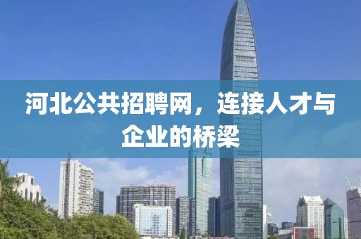 河北公共招聘网，连接人才与企业的桥梁