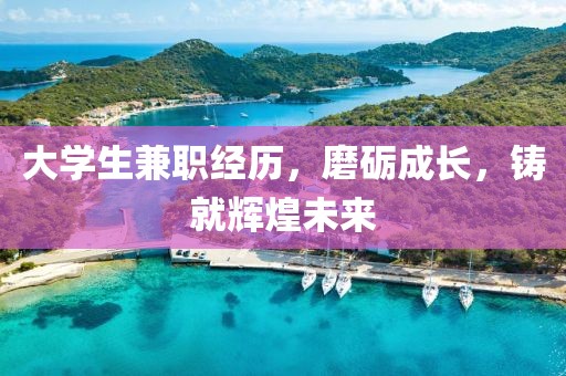 大学生兼职经历，磨砺成长，铸就辉煌未来