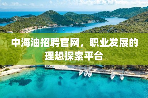 中海油招聘官网，职业发展的理想探索平台