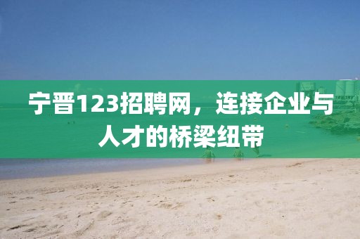 宁晋123招聘网，连接企业与人才的桥梁纽带