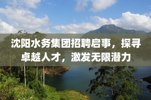 沈阳水务集团招聘启事，探寻卓越人才，激发无限潜力