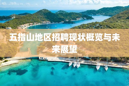 五指山地区招聘现状概览与未来展望