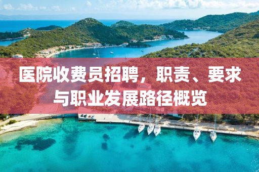 医院收费员招聘，职责、要求与职业发展路径概览