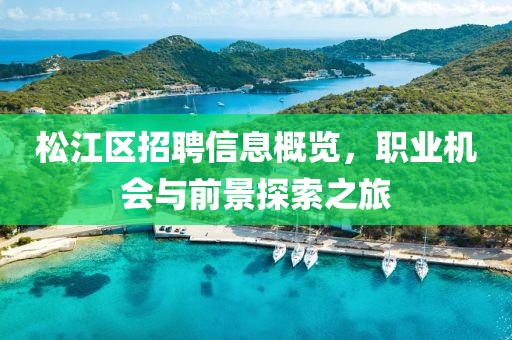 松江区招聘信息概览，职业机会与前景探索之旅