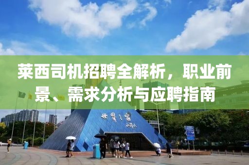 莱西司机招聘全解析，职业前景、需求分析与应聘指南