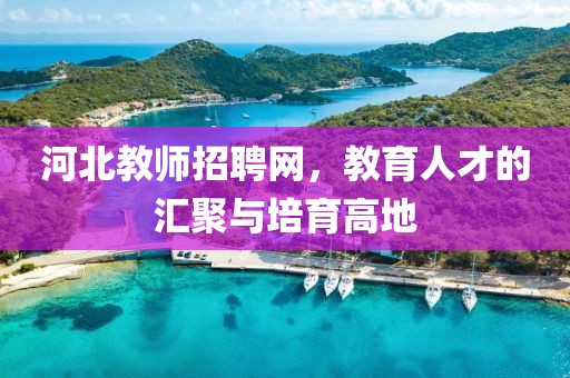 河北教师招聘网，教育人才的汇聚与培育高地