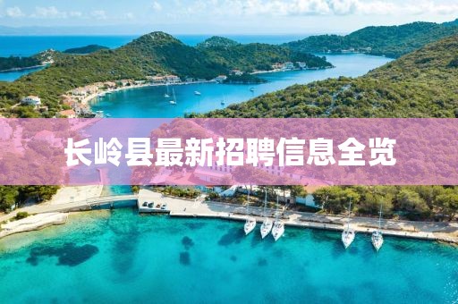 长岭县最新招聘信息全览