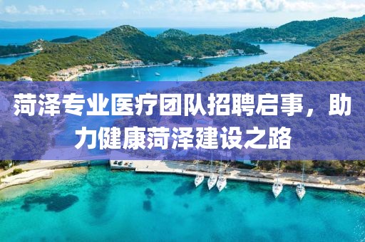 菏泽专业医疗团队招聘启事，助力健康菏泽建设之路