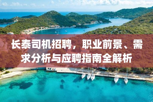 长泰司机招聘，职业前景、需求分析与应聘指南全解析