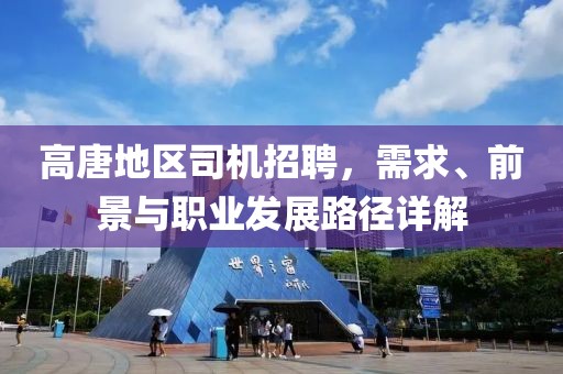 高唐地区司机招聘，需求、前景与职业发展路径详解