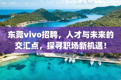 东莞vivo招聘，人才与未来的交汇点，探寻职场新机遇！