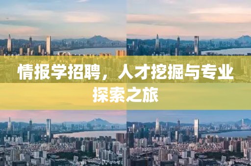 情报学招聘，人才挖掘与专业探索之旅