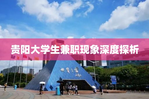 贵阳大学生兼职现象深度探析