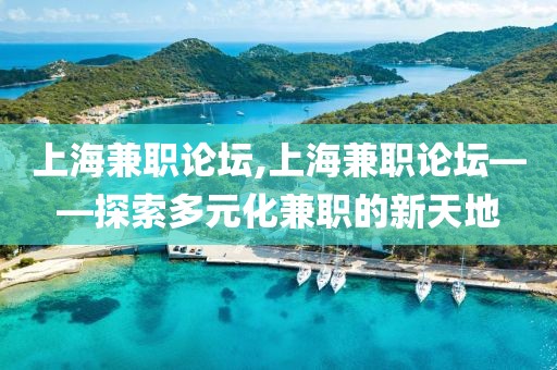 上海兼职论坛,上海兼职论坛——探索多元化兼职的新天地